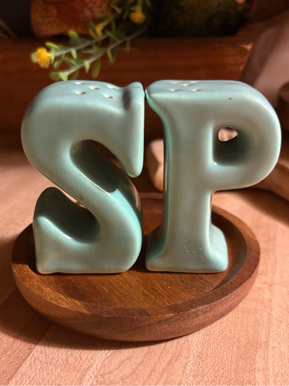 Ceramic S & P Shakers in Seafoam Turquoise